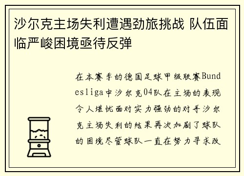 沙尔克主场失利遭遇劲旅挑战 队伍面临严峻困境亟待反弹