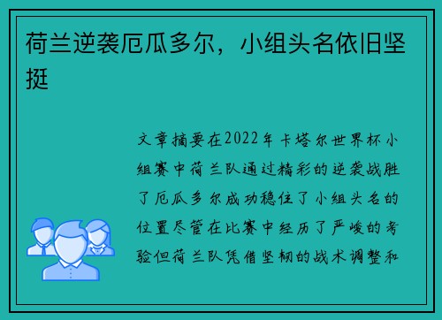 荷兰逆袭厄瓜多尔，小组头名依旧坚挺